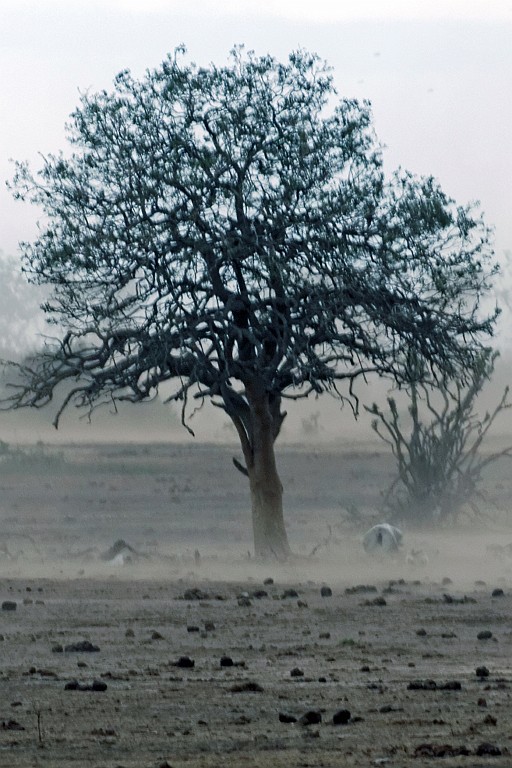 Kenia (405).jpg